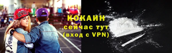 дмт Осинники