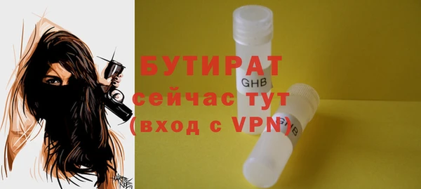 мдпв Пестово