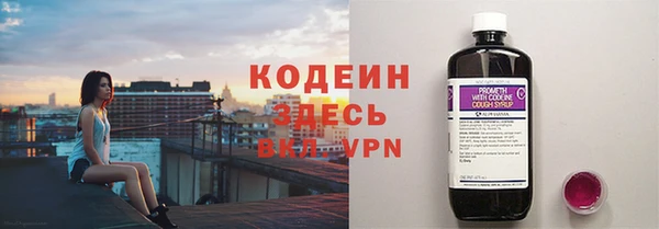 мдпв Пестово