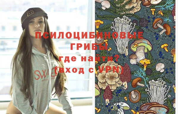 ГАЛЛЮЦИНОГЕННЫЕ ГРИБЫ Переславль-Залесский