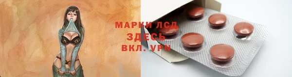 мдпв Пестово