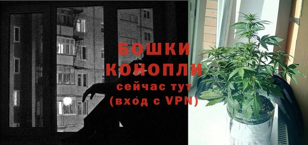 стаф Осташков