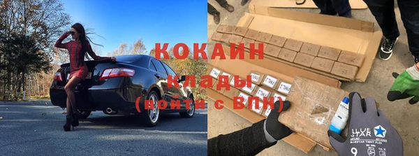 мдпв Пестово