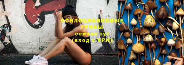 ГАЛЛЮЦИНОГЕННЫЕ ГРИБЫ Переславль-Залесский