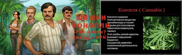 гидра Пересвет